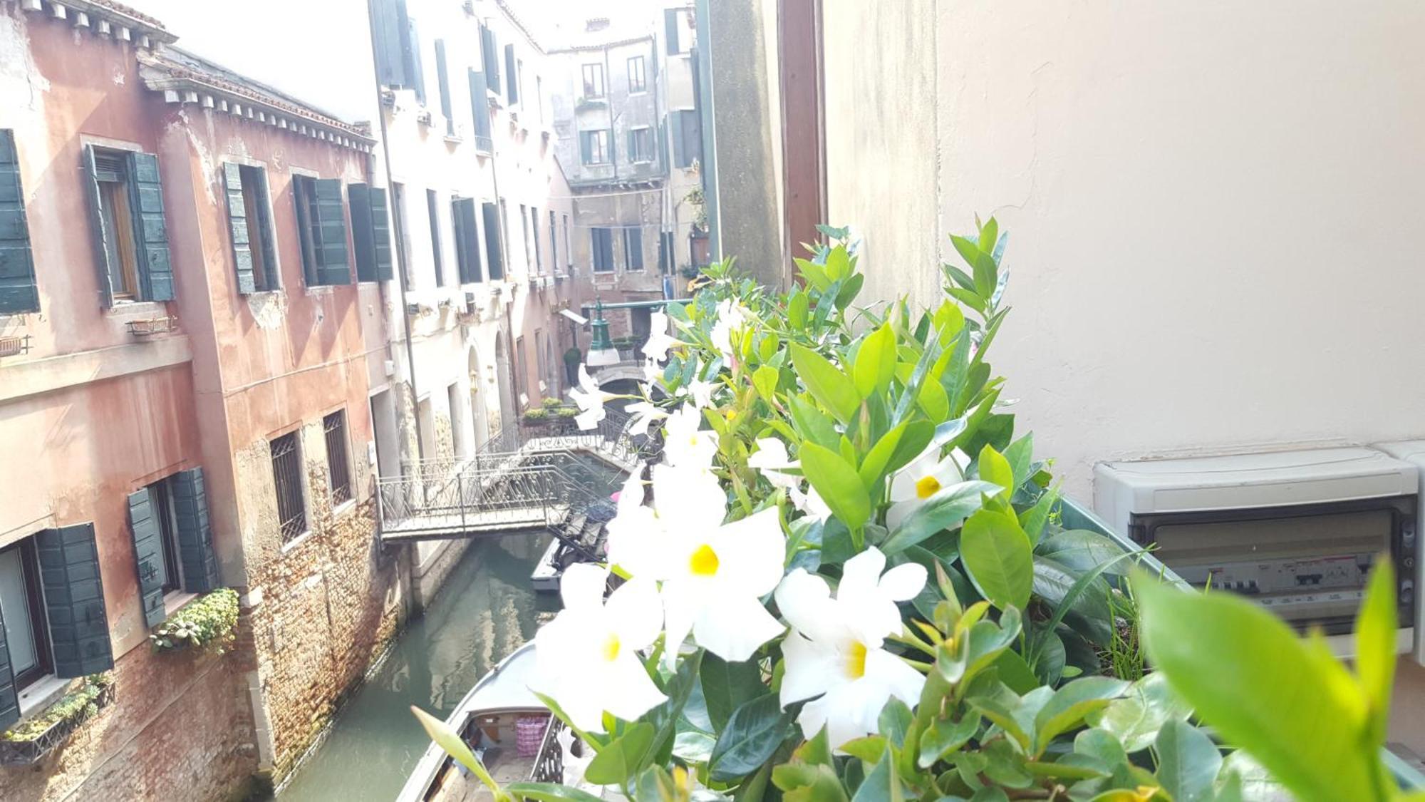 Single Room with Canal View,631023861:JPEG